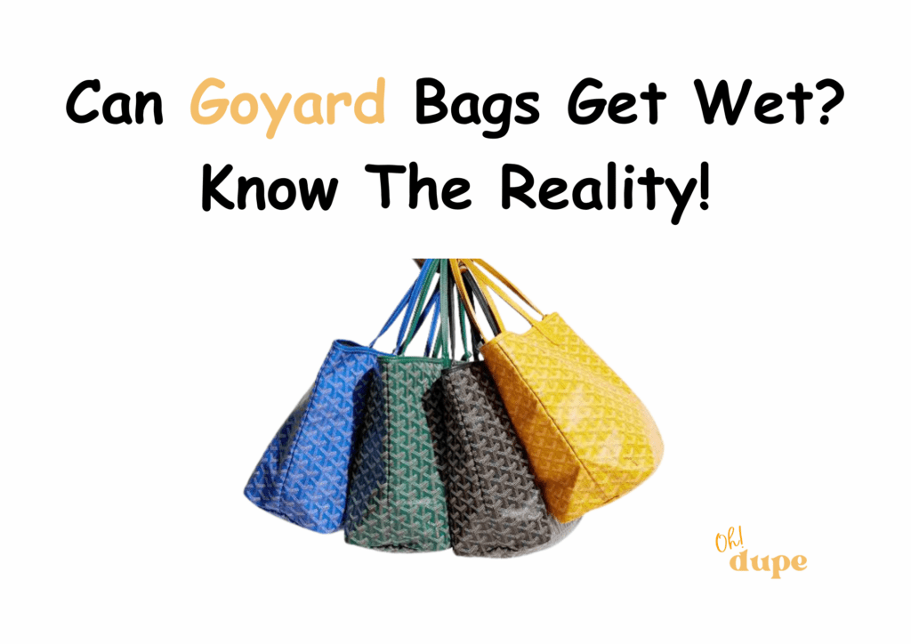Can Goyard Bags Get Wet