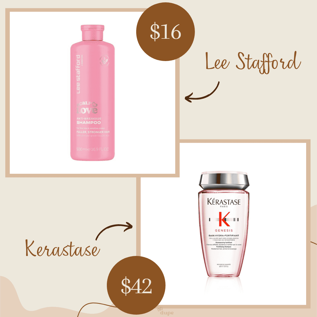 11 Affordable Kerastase Dupe In 2024 ohdupe